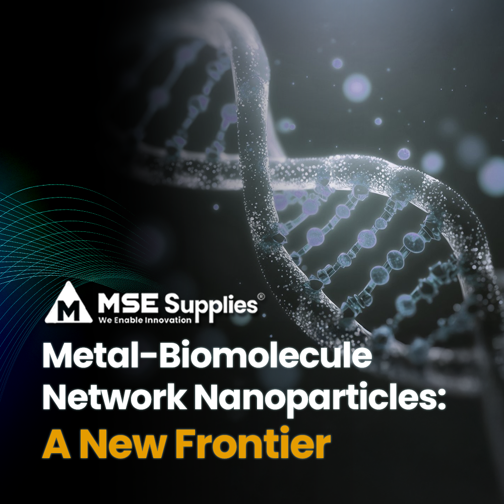 Metal-Biomolecule Network Nanoparticles: A New Frontier