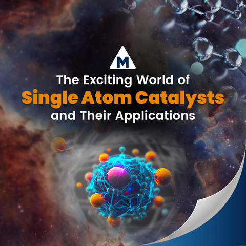 The Exciting World of Single Atom Catalysts (SACs) and Their Applications