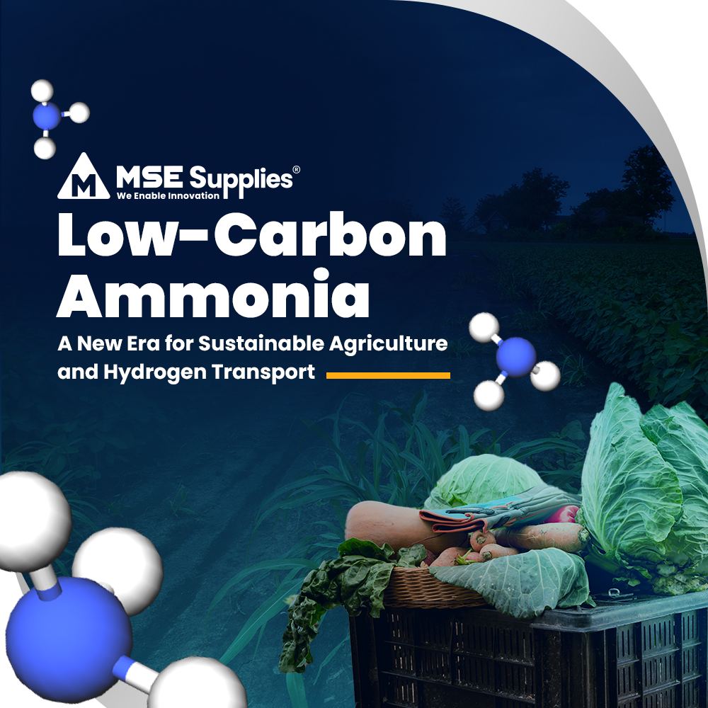 Low-Carbon Ammonia: A New Era for Sustainable Agriculture and Hydrogen Transport