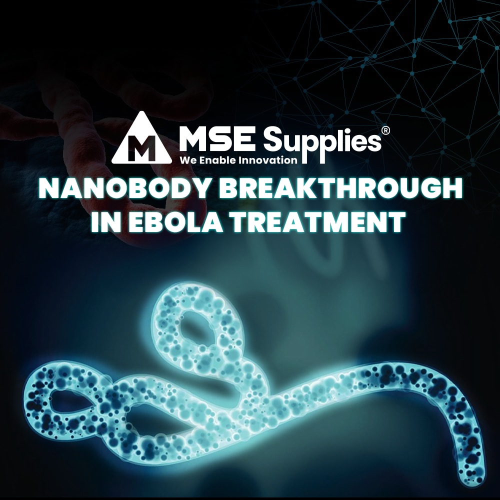 Nanobody Breakthrough in Ebola Treatment