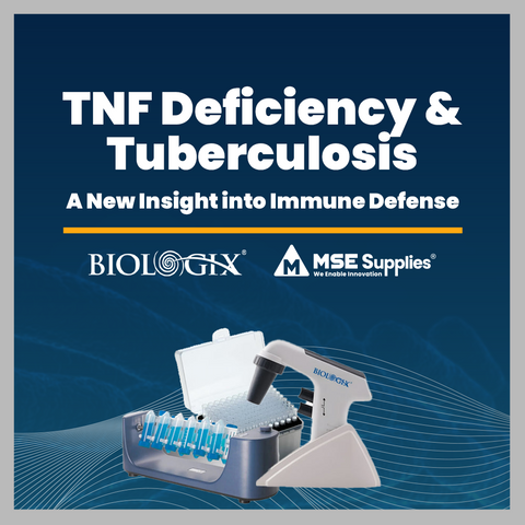 TNF Deficiency and Tuberculosis: A New Insight into Immune Defense