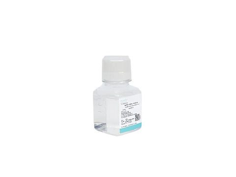 0.05% Trypsin Solution (dissolved in PBS)
