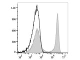 Elab Fluor® 488 Anti-Rat CD45RA Antibody[OX-33]
