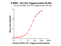 Recombinant SARS-CoV-2 (2019-nCoV) S protein RBD (C-mFc-6His tag)(Active)