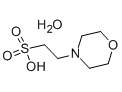 MSE PRO MES Monohydrate