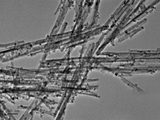 MSE PRO Cerium Oxide Nanorods Ethanol Solution, 1 mg/mL - MSE Supplies LLC