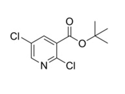 MSE PRO 1,1-Dimethylethyl 2,5-dichloro-3-pyridinecarboxylate