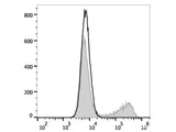 FITC Anti-Human IL-17A Antibody[BL168]
