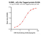 Recombinant SARS-CoV-2 (2019-nCoV) S protein RBD (C-mFc-6His tag)(Active)