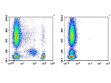 PE Anti-Human CD4 Antibody[SK3]
