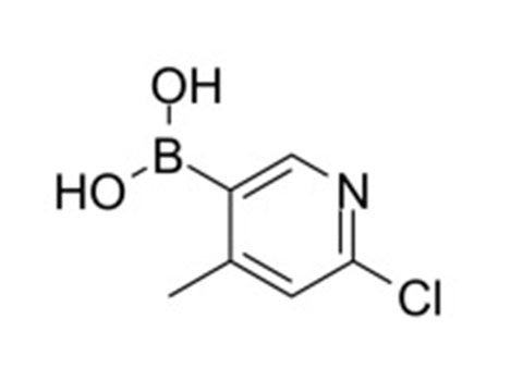 MSE PRO 2-Chloro-4-methyl-5-pyridineboronic acid