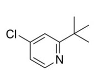 MSE PRO 2-(Tert-butyl)-4-chloropyridine