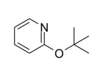 MSE PRO 2-tert-Butoxypyridine