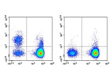 Elab Fluor® Violet 450 Anti-Human CD19 Antibody[HI19a]
