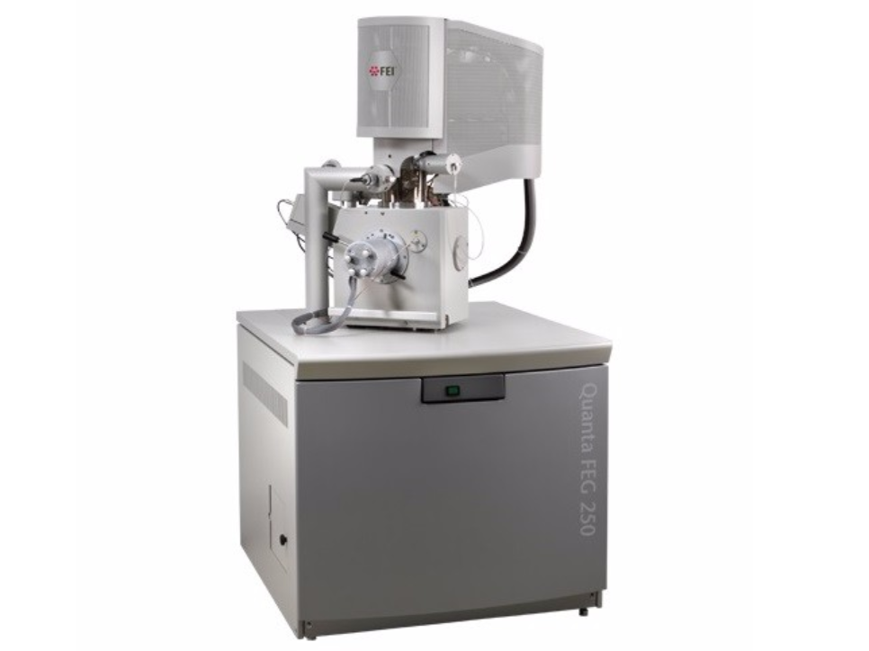 Environmental Scanning Electron Microscope (ESEM) Analytical 