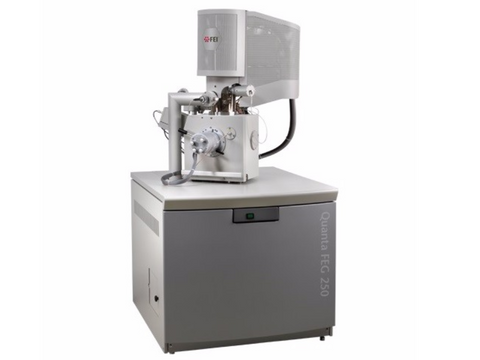 Environmental Scanning Electron Microscope (ESEM) Analytical Service