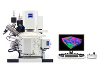 In-Situ Scanning Electron Microscopy (SEM) Analytical Service