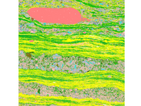 Mineral Liberation Analysis (MLA) System