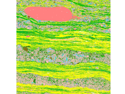 Mineral Liberation Analysis (MLA) System