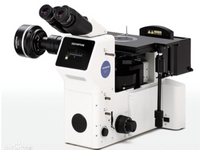 Polarized Light Microscope (PLM) Analytical Service