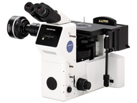 Polarized Light Microscope (PLM) Analytical Service