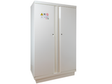 Ecosafe 2 - DOOR TALL SAFETY CABINET TYPE 90 - 2 COMPARTMENTS