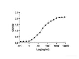 Recombinant 2019-nCoV S1 Protein (C-10His)