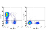 PE Anti-Human CD2 Antibody[RPA-2.10]
