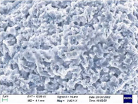 MSE PRO Na<sub>5.5</sub>PS<sub>4.5</sub>Cl<sub>1.5</sub> Powder for Sodium-Ion Battery Research, 10g