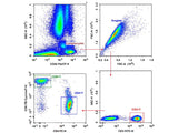 Anti-Human CD19-FITC/CD56-PE/CD3-PE/Cyanine7/CD45-PerCP Cocktail
