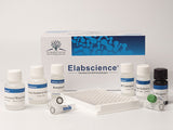 25-HVD3(25-Hydroxy Vitamin D3) ELISA Kit - MSE Supplies LLC