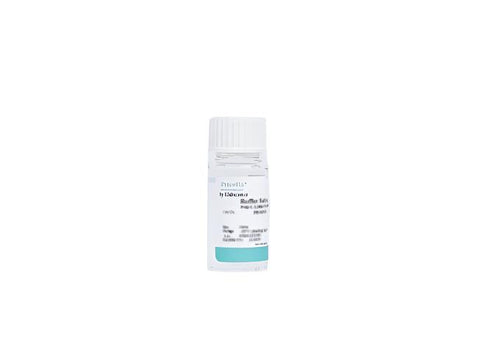 250 μg/mL Amphotericin B Solution
