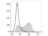 Elab Fluor® 488 Anti-Human CD34 Antibody[4H11]
