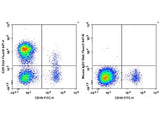 FITC Anti-Human CD2 Antibody[RPA-2.10]