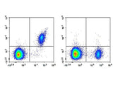 APC Anti-Human CD123 Antibody[HI12H7]
