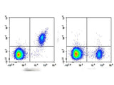 APC Anti-Human CD22 Antibody[HIB22]
