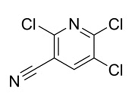 MSE PRO 2,3,6-Trichloro-5-cyanopyridine