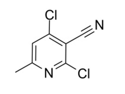 MSE PRO 2,4-Dichloro-6-methylnicotinonitrile