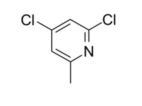 MSE PRO 2,4-Dichloro-6-methylpyridine