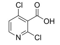 MSE PRO 2,4-Dichloronicotinic acid