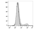 PE Anti-Human IL-17A Antibody[BL168]
