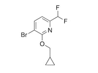 MSE PRO 3-Bromo-2-(cyclopropylmethoxy)-6-(difluoromethyl)pyridine