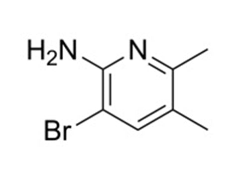 MSE PRO 3-Bromo-5,6-dimethylpyridin-2-amine