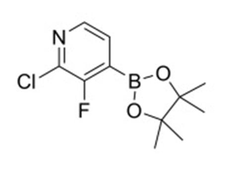 MSE PRO 3-Hydroxy-2,3-dimethylbutan-2-yl hydrogen (2-chloro-3-fluoropyridin-4-yl)boronate