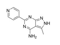 MSE PRO 3-Methyl-6-(pyridin-4-yl)-2h-pyrazolo[3,4-d]pyrimidin-4-amine