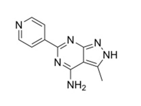 MSE PRO 3-Methyl-6-(pyridin-4-yl)-2h-pyrazolo[3,4-d]pyrimidin-4-amine