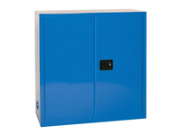 MSE PRO 30 Gallon 2-Door Corrosive Blue Storage Cabinet, Manual Close