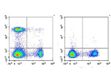 PE/Cyanine7 Anti-Mouse CD4 Antibody[RM4-5]
