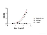 Recombinant SARS-CoV-2 Spike RBD (N501Y) (His Tag)