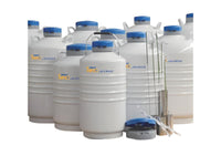 CryoKING® Liquid Nitrogen Tank Static Storage Series 31.5 L Include 6 canisters